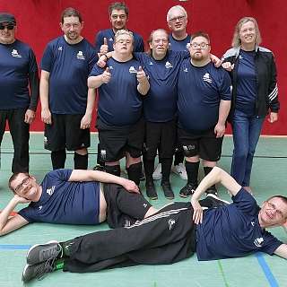 Collagenbild 4