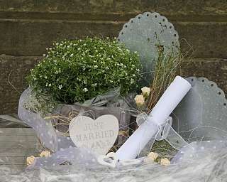 Dekorative Hochzeitsanordnung mit Pflanzen und einem &#039;Just Married&#039;-Schild.